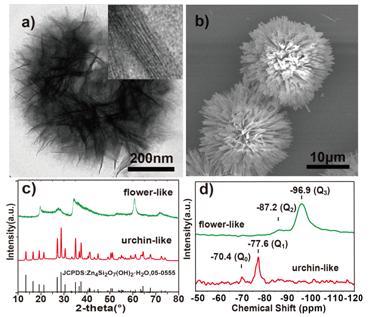 新的分级结构硅酸锌纳米材料及其铅离子吸附性能