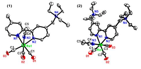 新型水溶性铼配合物的合成及电化学应用