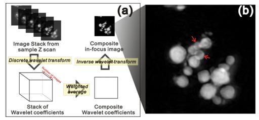 透射X射线显微镜中的扩展焦深方法