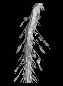 说明: http://www.gxxsggd.com/xwdt/gnxw/2016/201612/W020161213305524785981.jpg