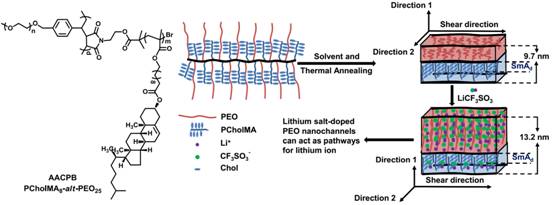 含胆甾醇液晶基元和PEO侧链的两亲性交替共聚聚合物刷的多级自组装结构