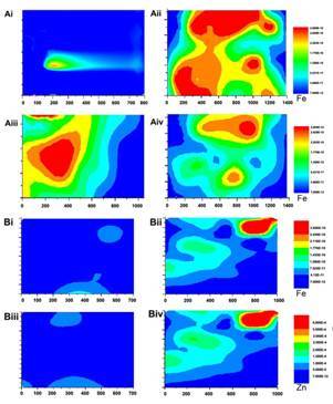 量子点标记血红素的制备及其在肠血红素铁吸收研究中的应用