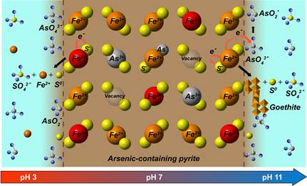 缺氧水溶液中含砷黄铁矿与As(V)氧化还原机理