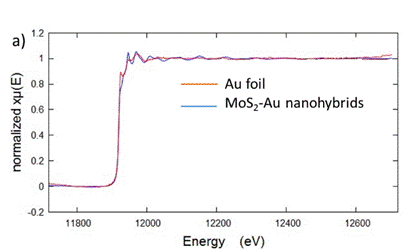 具有高效氢析出反应电催化活性的二硫化钼与金的纳米复合物