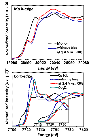 Mo6+激活的多元金属析氧电催化剂