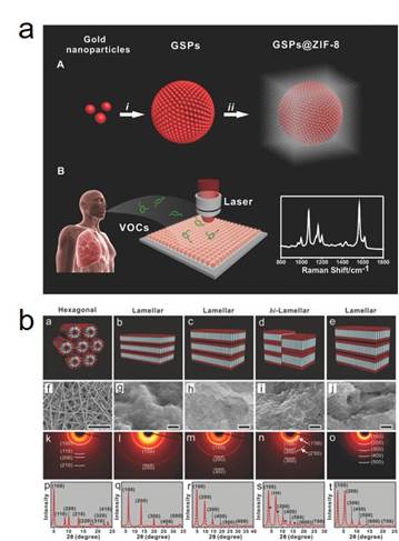 自组装体结构的同步辐射小角X射线散射分析
