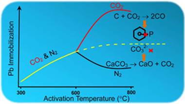 抗生素药渣生物炭中碳和磷元素的演变及对Pb的固定机制