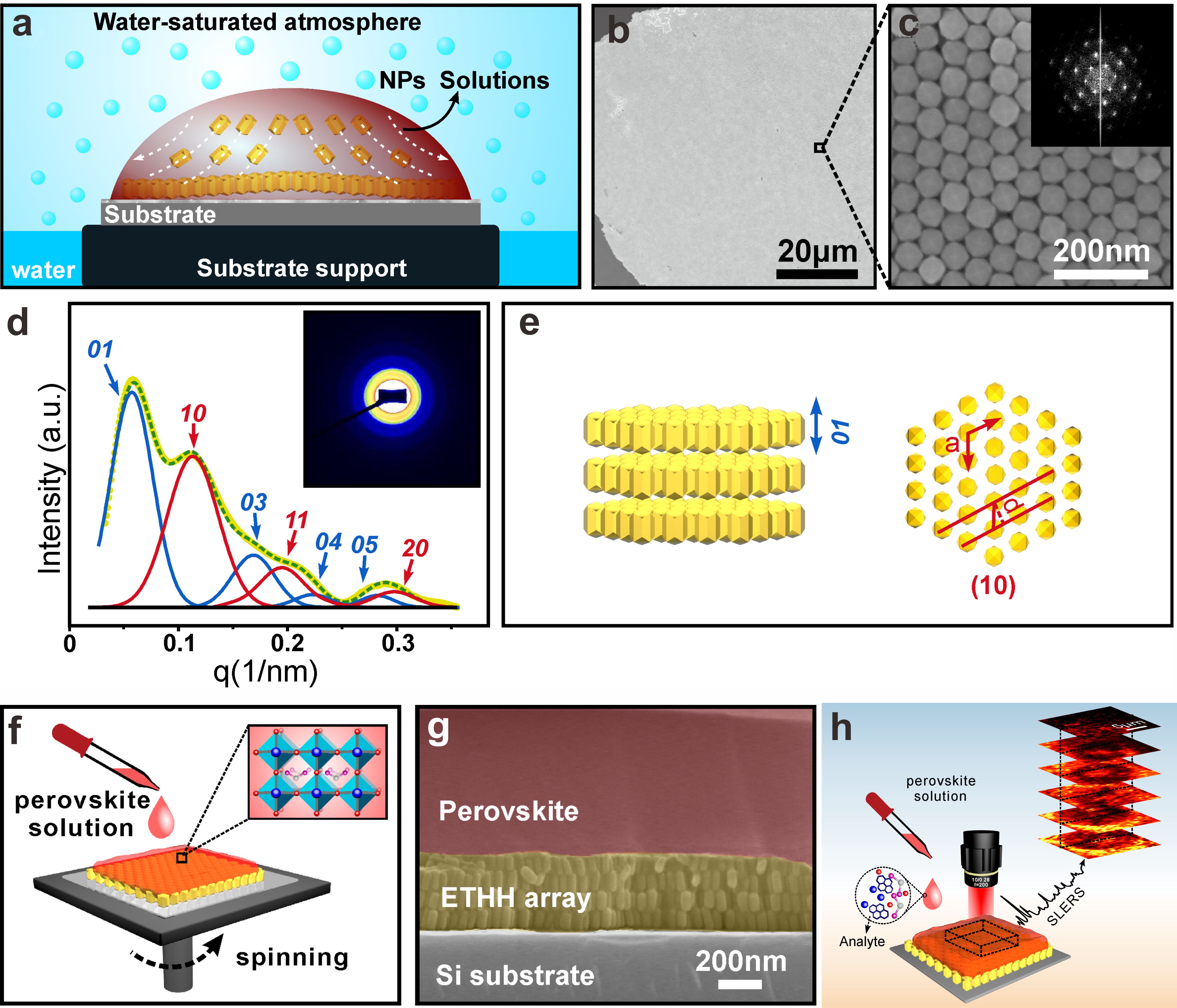 用于非接触式分子检测的表层增强拉曼散射（SLERS）技术开发