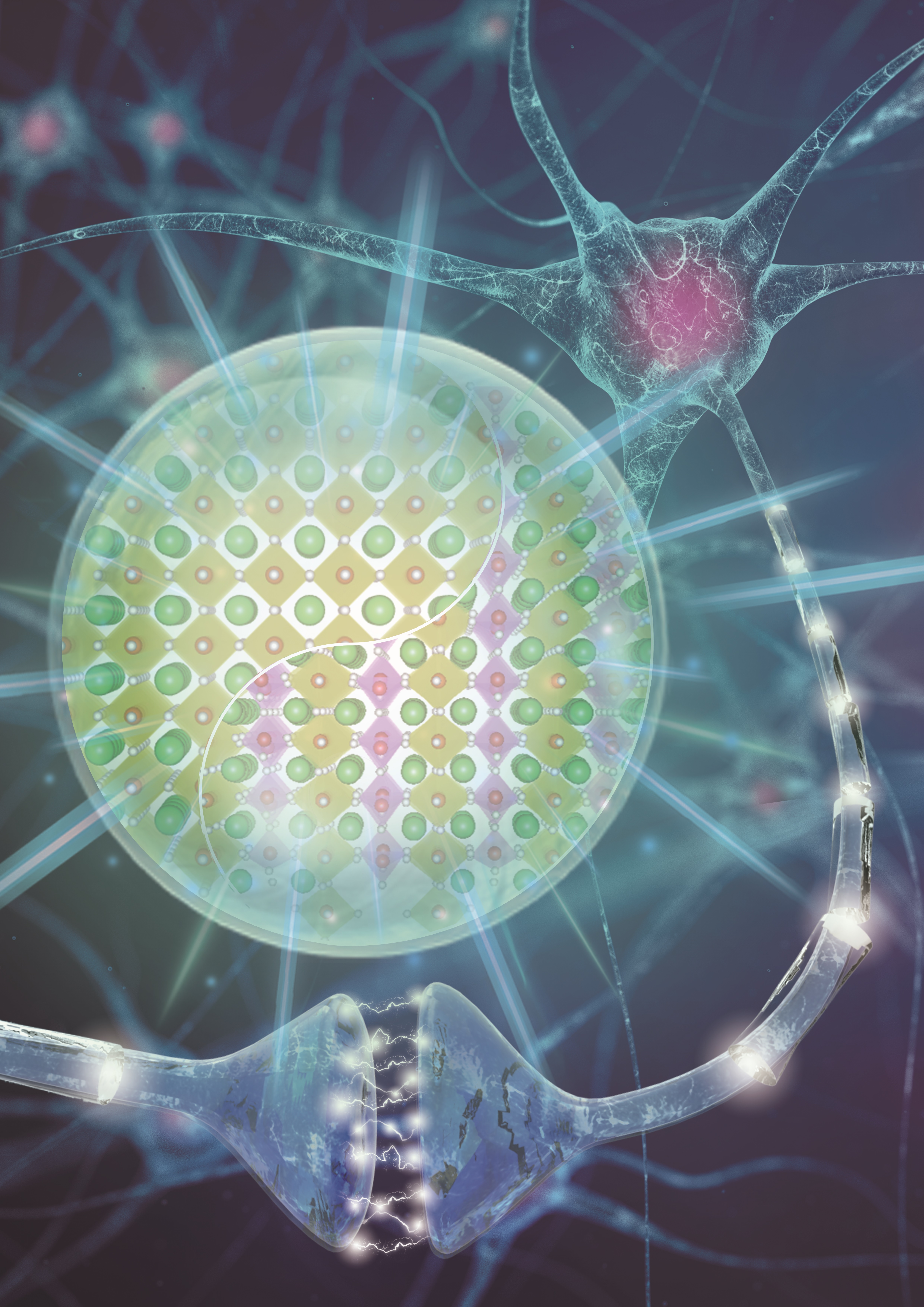 基于拓扑相转换的电解质突触晶体管