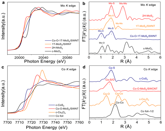 同步辐射X-射线吸收谱解析Co/O共掺杂MoS2析氢研究