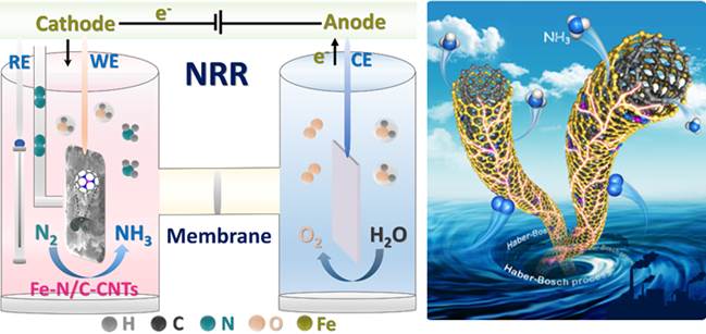 合理设计Fe-N-C催化剂用于常温常压下氮气电化学还原