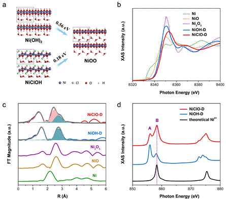 尿素氧化的晶格氧交换反应路径