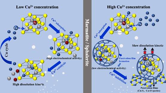 铜离子在铁闪锌矿氧化溶解中的作用机制