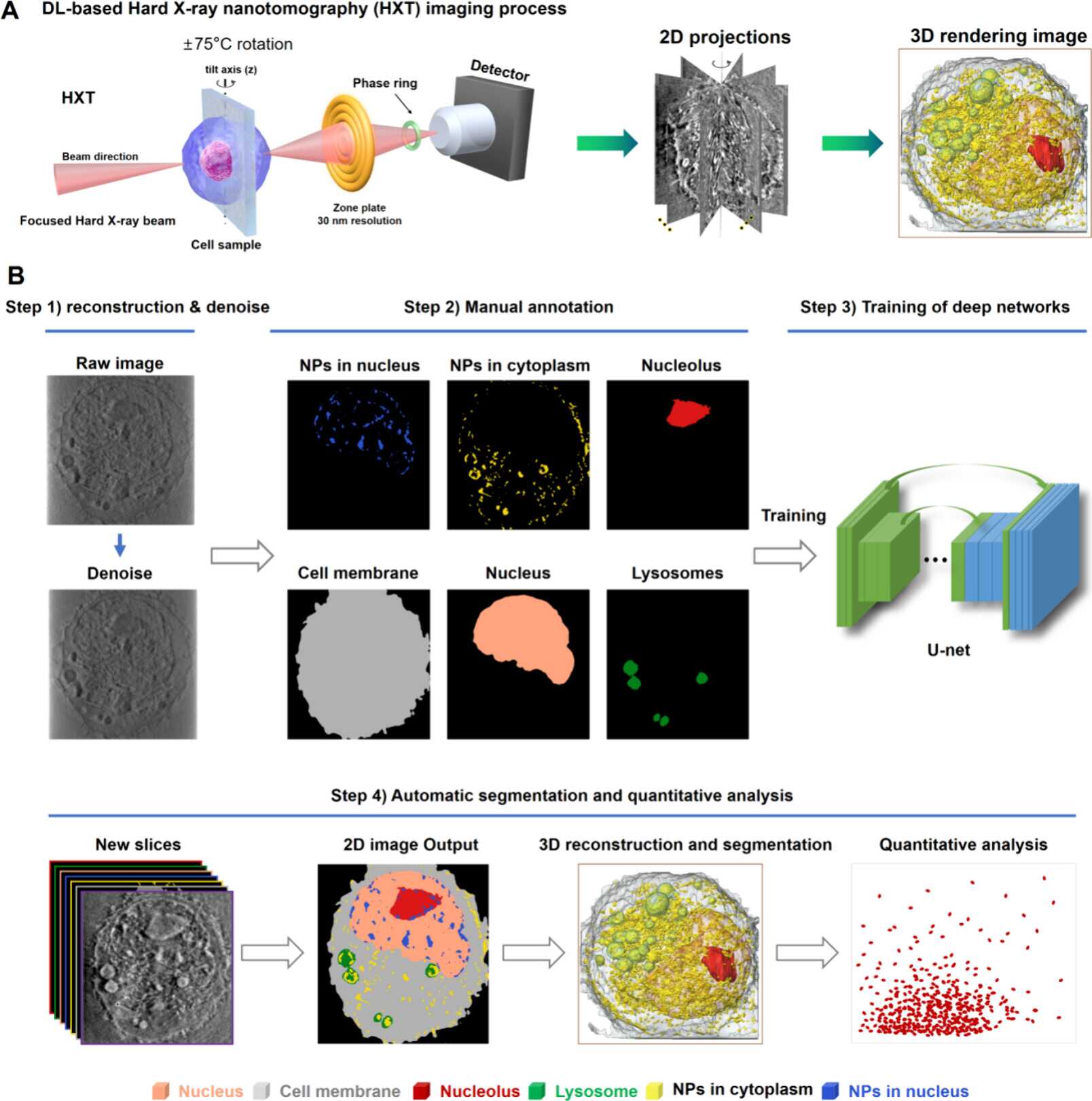 人工智能赋能纳米分辨CT表征技术应用于新型纳米药物研发
