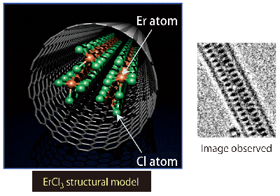 Fig. 4 ErCl3 nanowire formed in carbon nanotube.