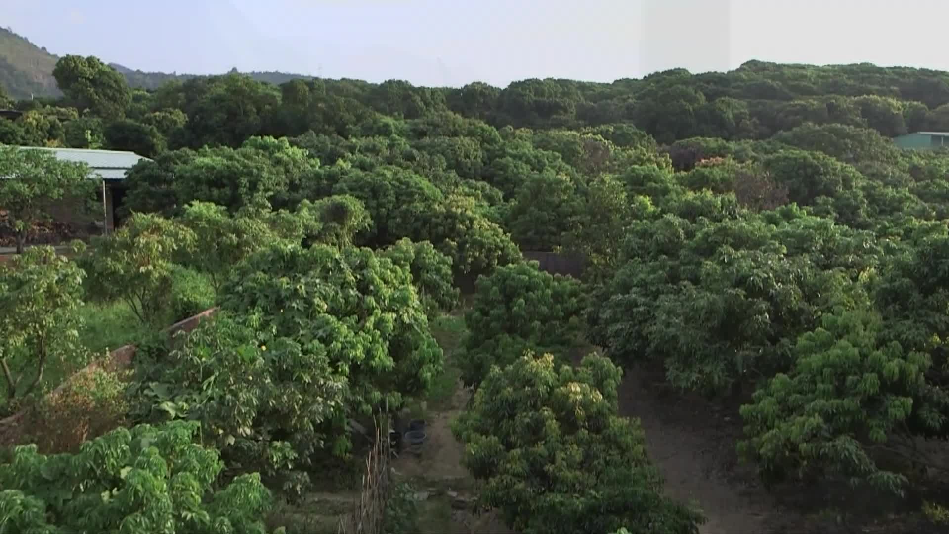 【CSNS】超级显微镜——中国散裂中子源