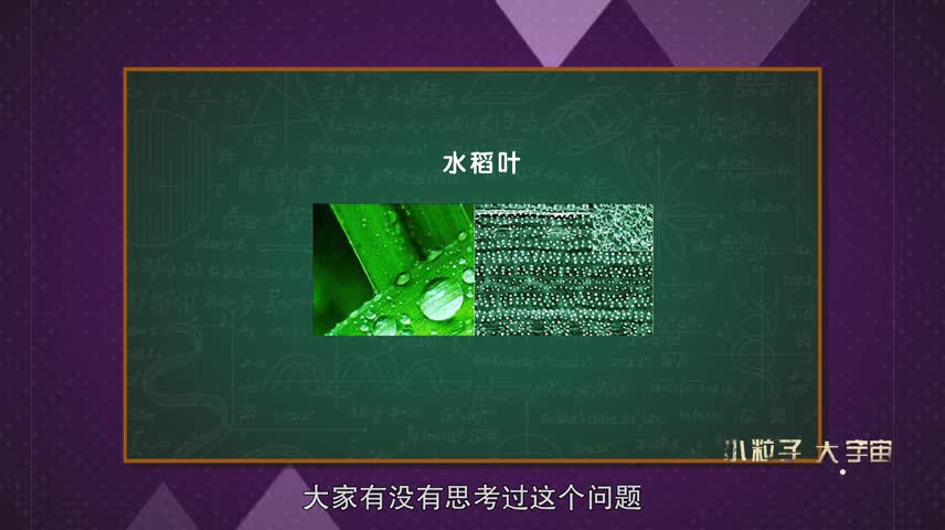 公开课——纳米小世界里的大侦探【赵丽娜】