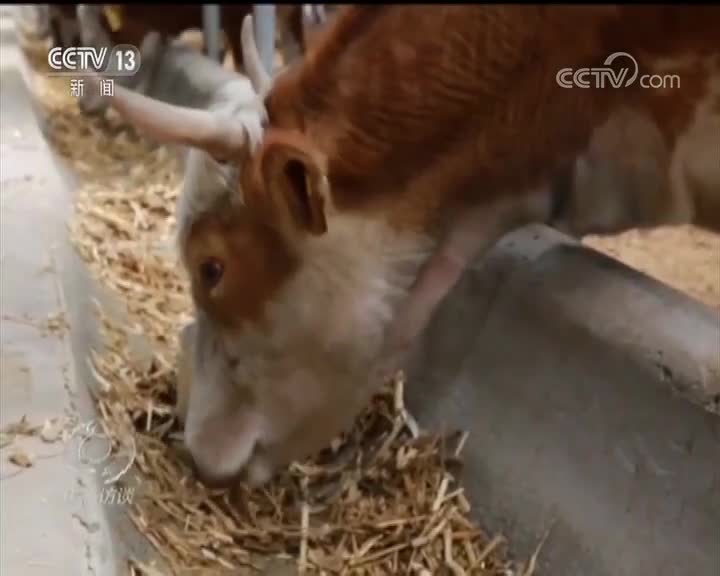 《焦点访谈》聚焦两会_不负嘱托_增强信心