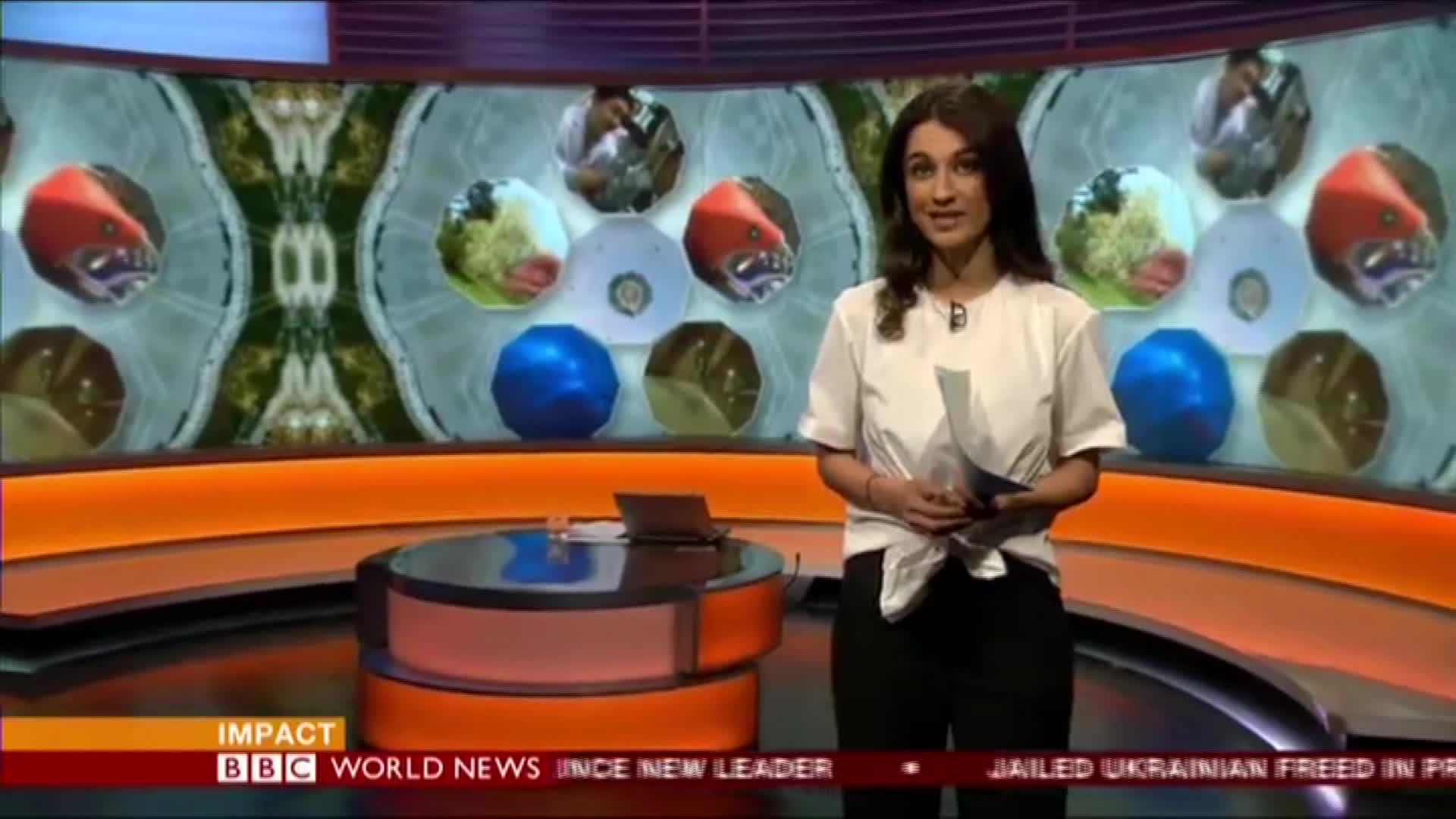 BBC中微子新闻报道